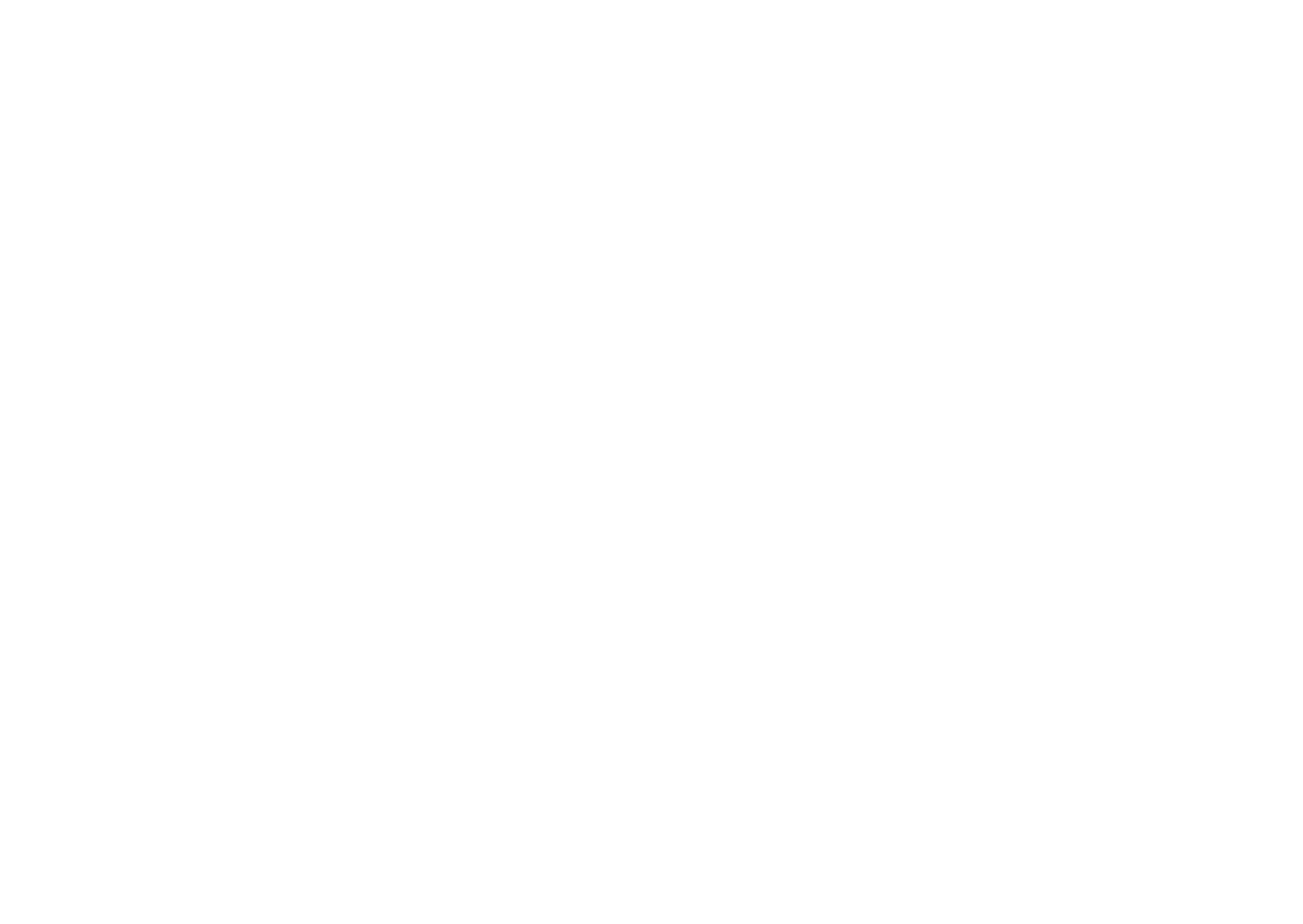VZN Media